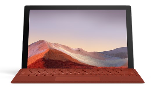 册亨清洁和维护 Surface